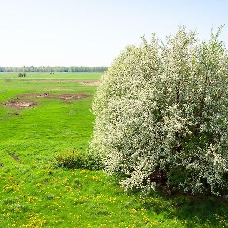 White Camomile Condo Šventoji Zewnętrze zdjęcie